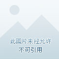 剑灵新手卡领取中心_新手领取剑灵卡中心怎么领_剑灵卡片有什么用