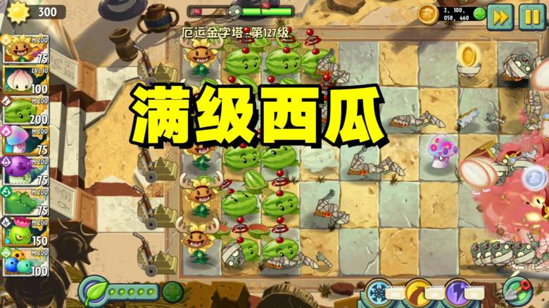 冰西瓜和西瓜投手攻速_冰西瓜投手的大招_冰西瓜和甜椒投手伤害