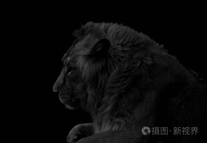 黑白游戏的人生感悟_黑白游戏机对眼睛有害吗_黑与白游戏
