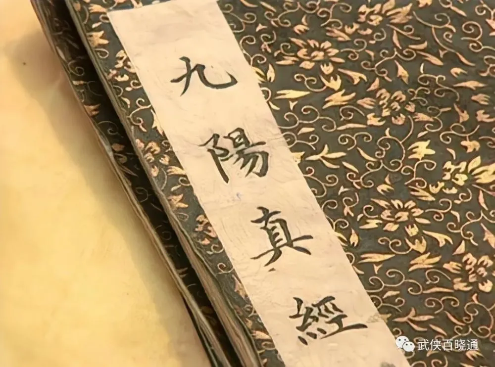 九阴真经金针沈家二阶身份_九阴真经金针沈家内功实力表_九阴真经金针沈家武学