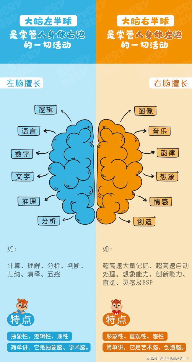 水哥：超强大脑的秘密！