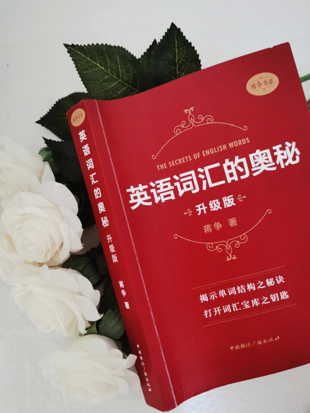 教小学生背单词游戏_背日语单词_日语初学者每天应该背多少单词