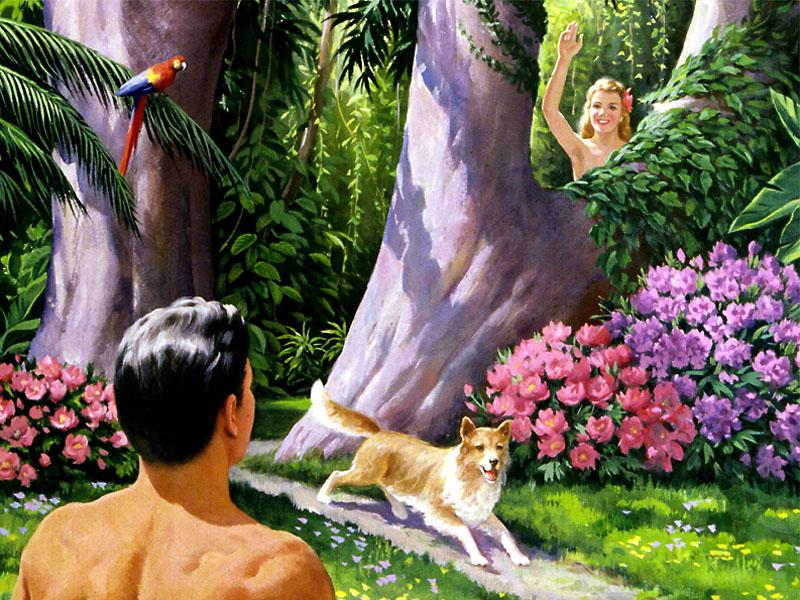亚当夏娃十_亚当夏娃之前_亚当夏娃游戏