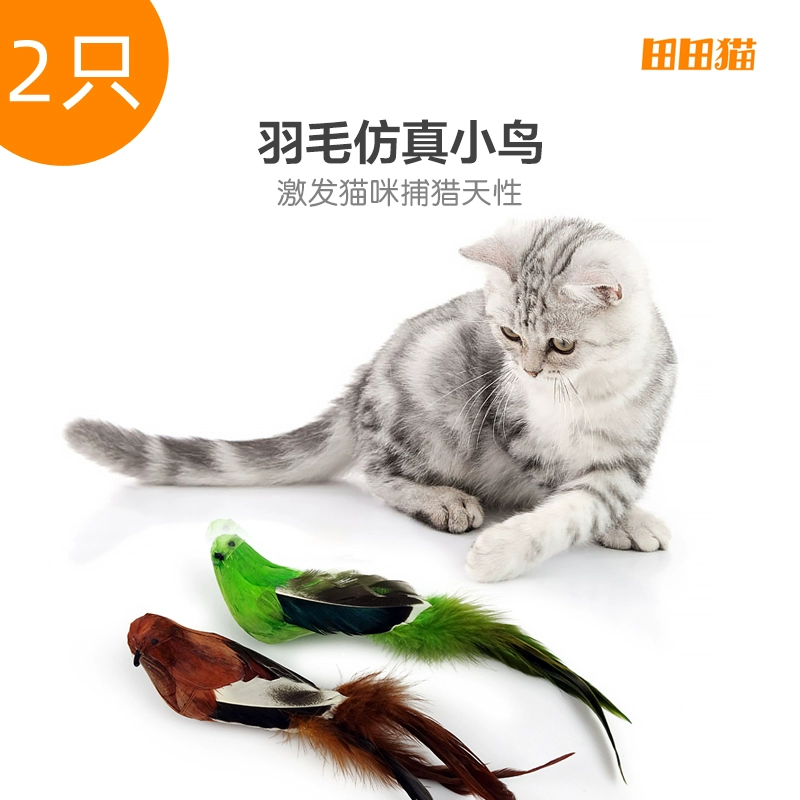 给小猫咪打针游戏_猫咪打针视频大全_猫咪打针游戏小视频