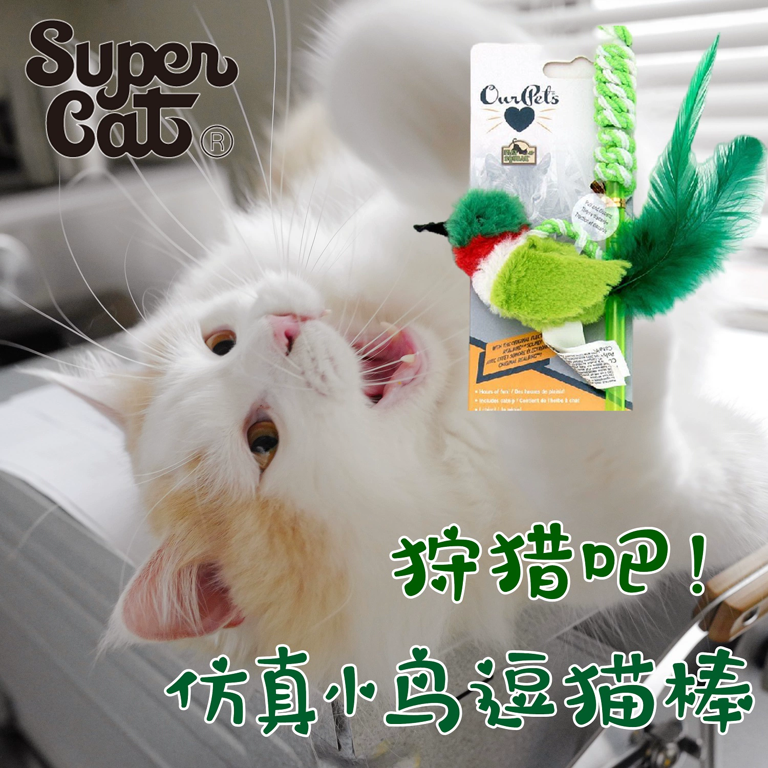 给小猫咪打针游戏_猫咪打针游戏小视频_猫咪打针视频大全