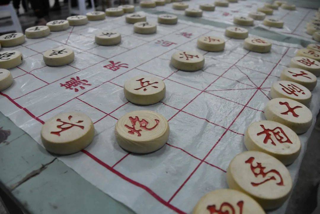 日记学象棋200字小学_学下象棋日记_日记象棋学下棋怎么写
