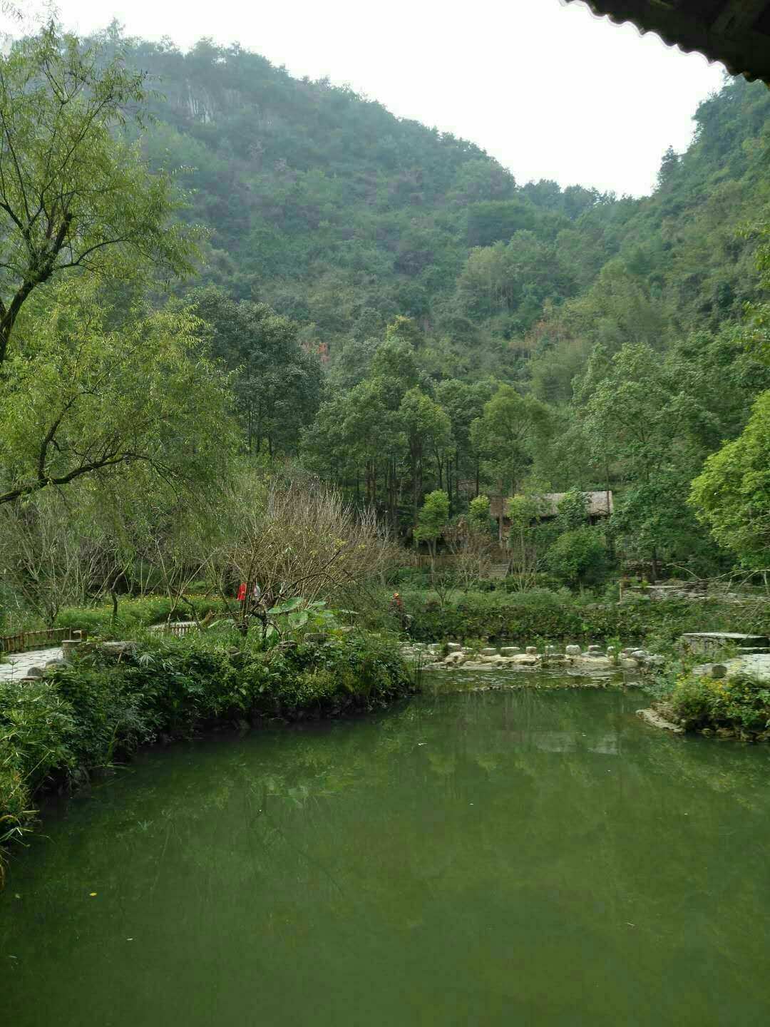 桃花源记习题及答案_桃花源记阅读答案人教版_桃花源记阅读理解及答案