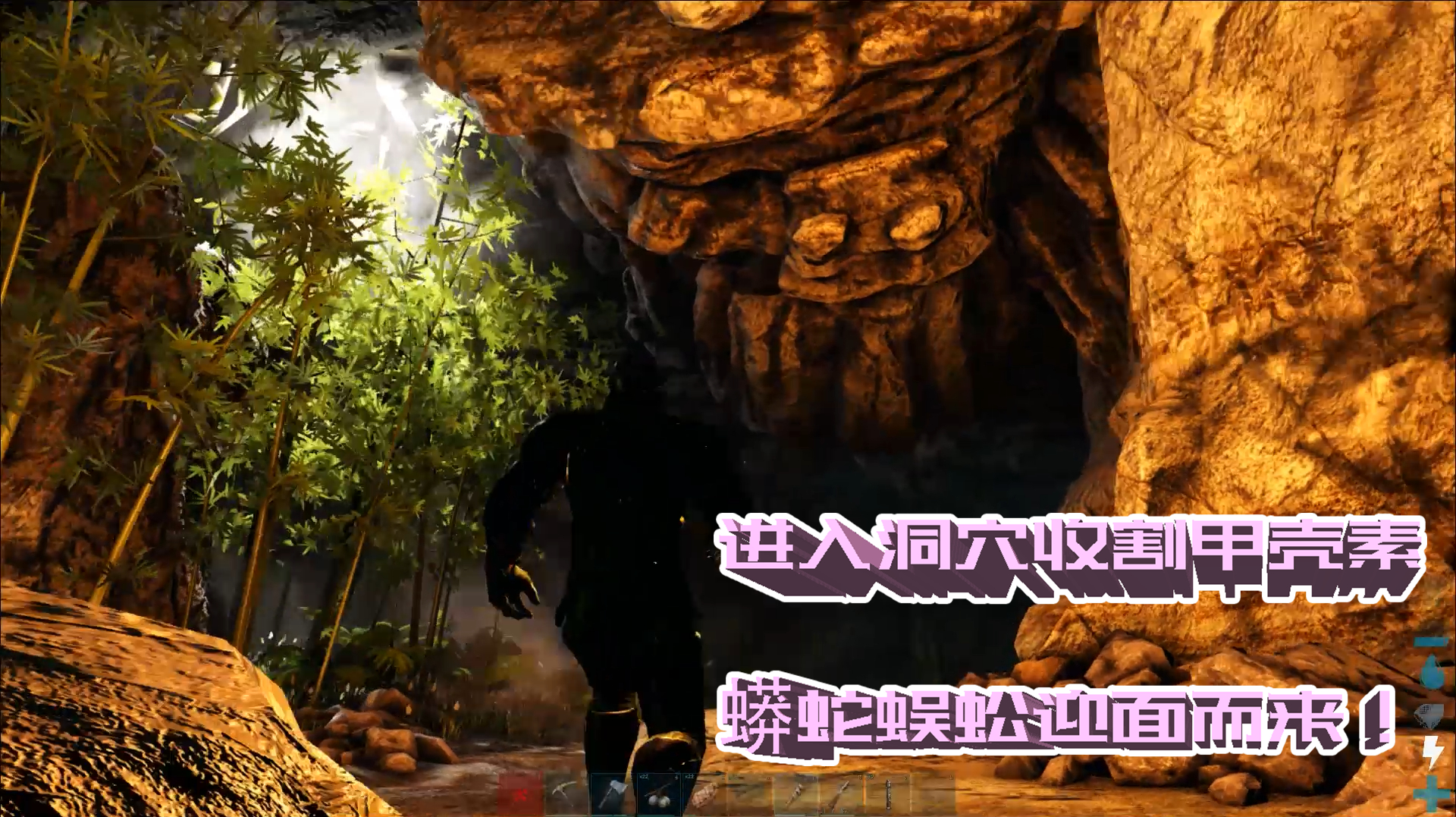 无双大蛇2 白金_无双大蛇z白金攻略_无双大蛇金甲