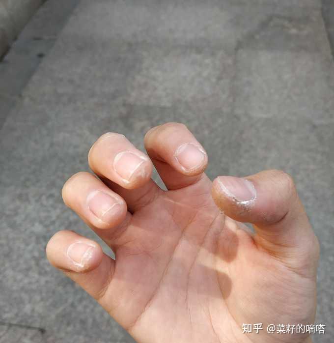 加藤鹰图片_加藤鹰手速gif_加藤鹰教学