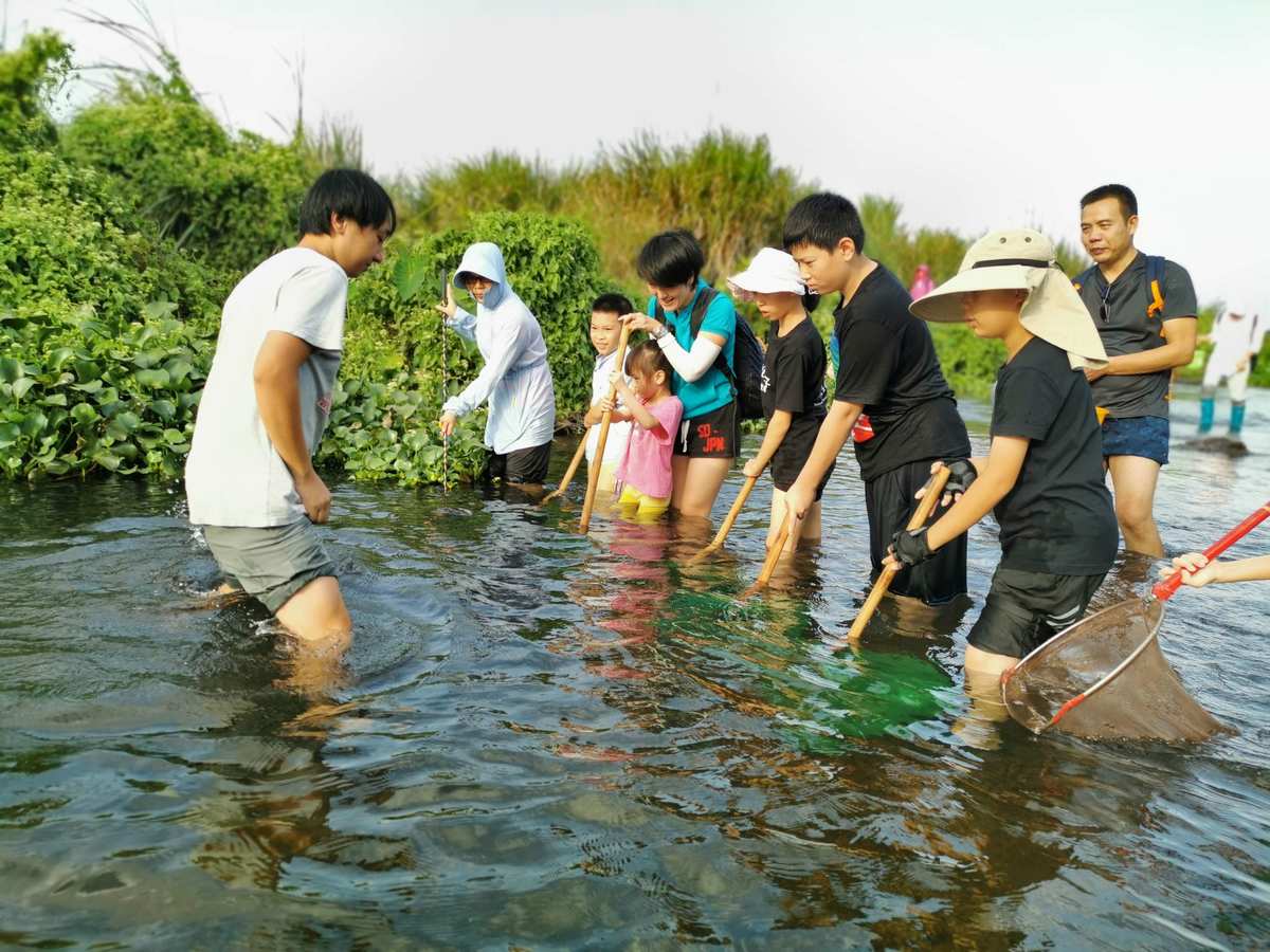 多抓鱼_抓鱼视频大全野外捉鱼_抓鱼游戏
