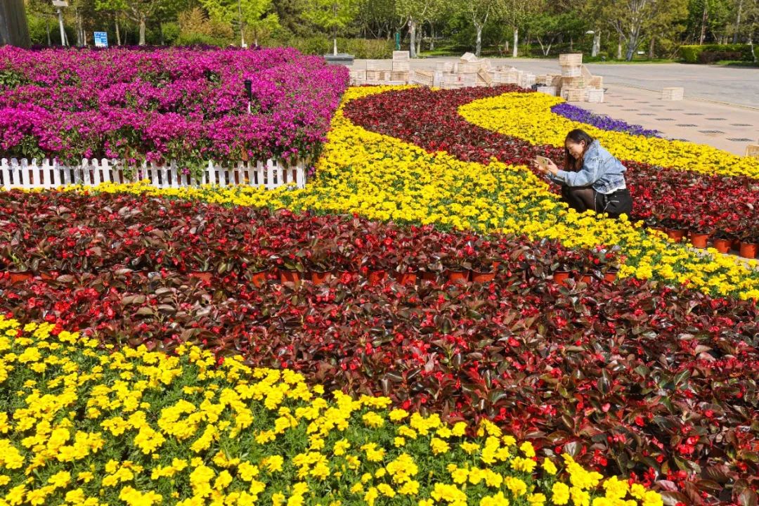 格林花园房价多少一平_格林花园_格林花园学区