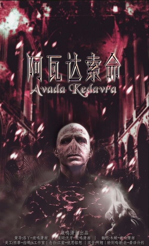 阿瓦达索命_阿瓦达索命用了有什么代价_索命阿瓦达索命咒