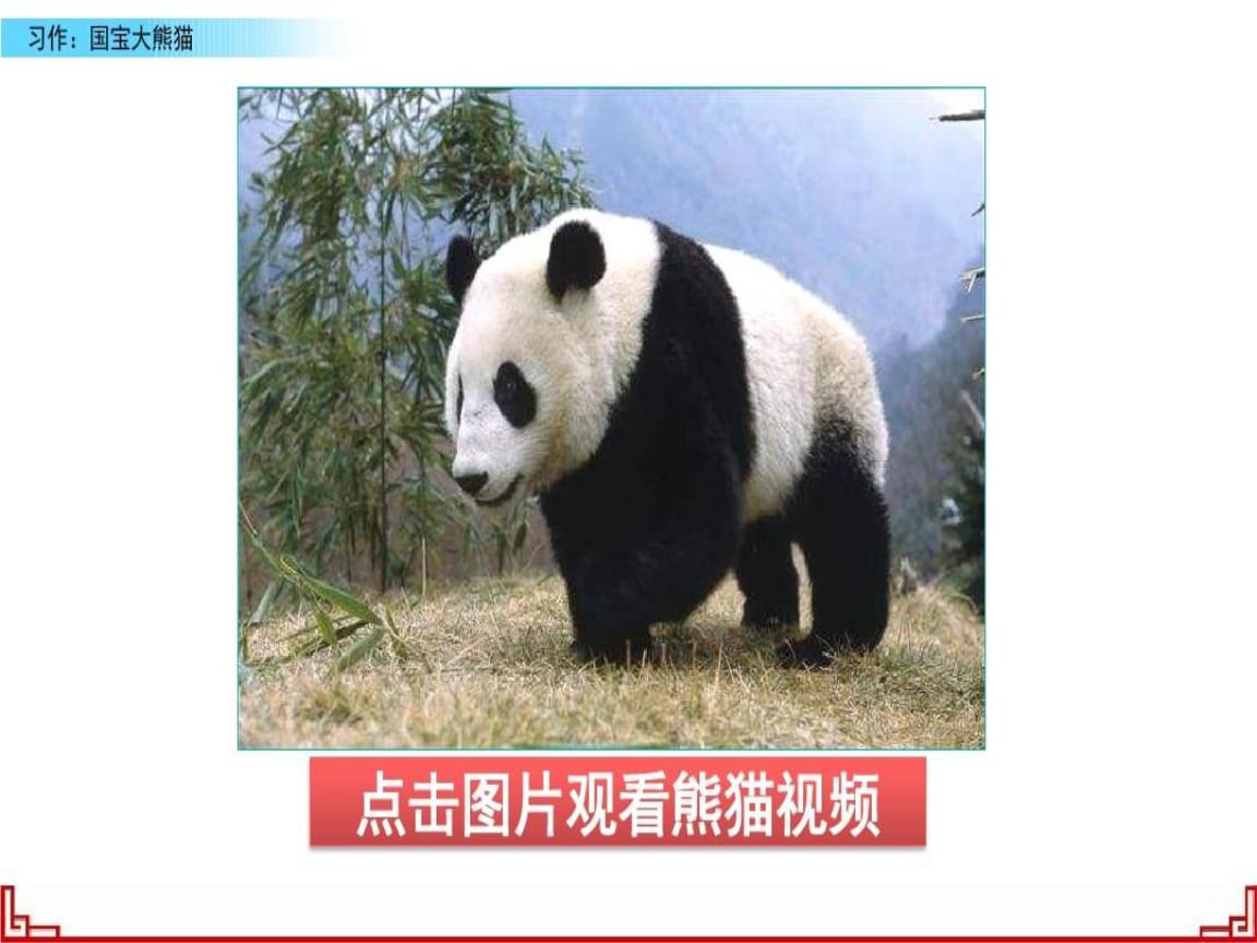 熊猫视频安装下载_熊猫视频免费安装_视频熊猫免费安装app