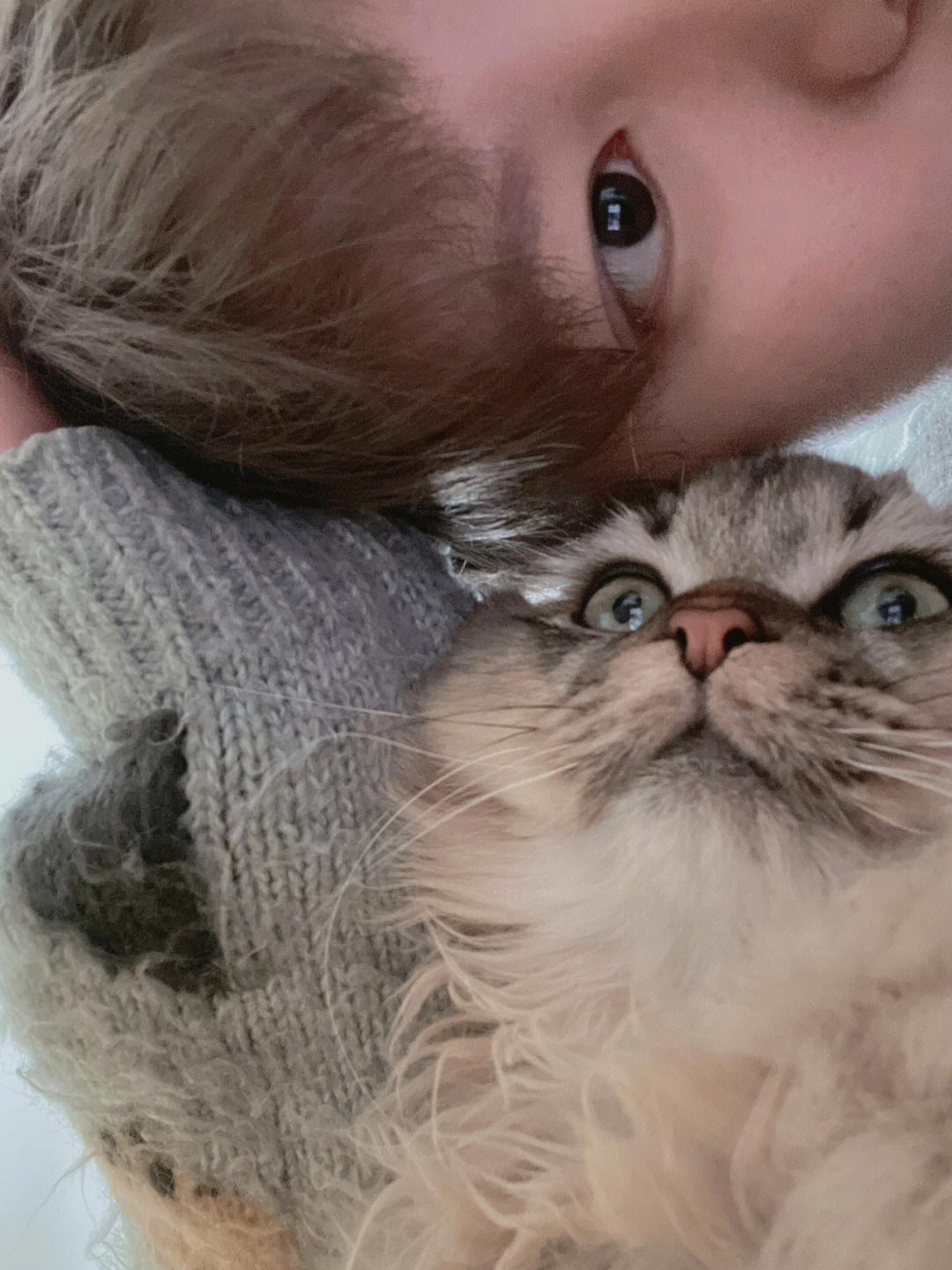 看福利图片的app软件_看国外成人电视台的app_猫咪成人看片app软件下载