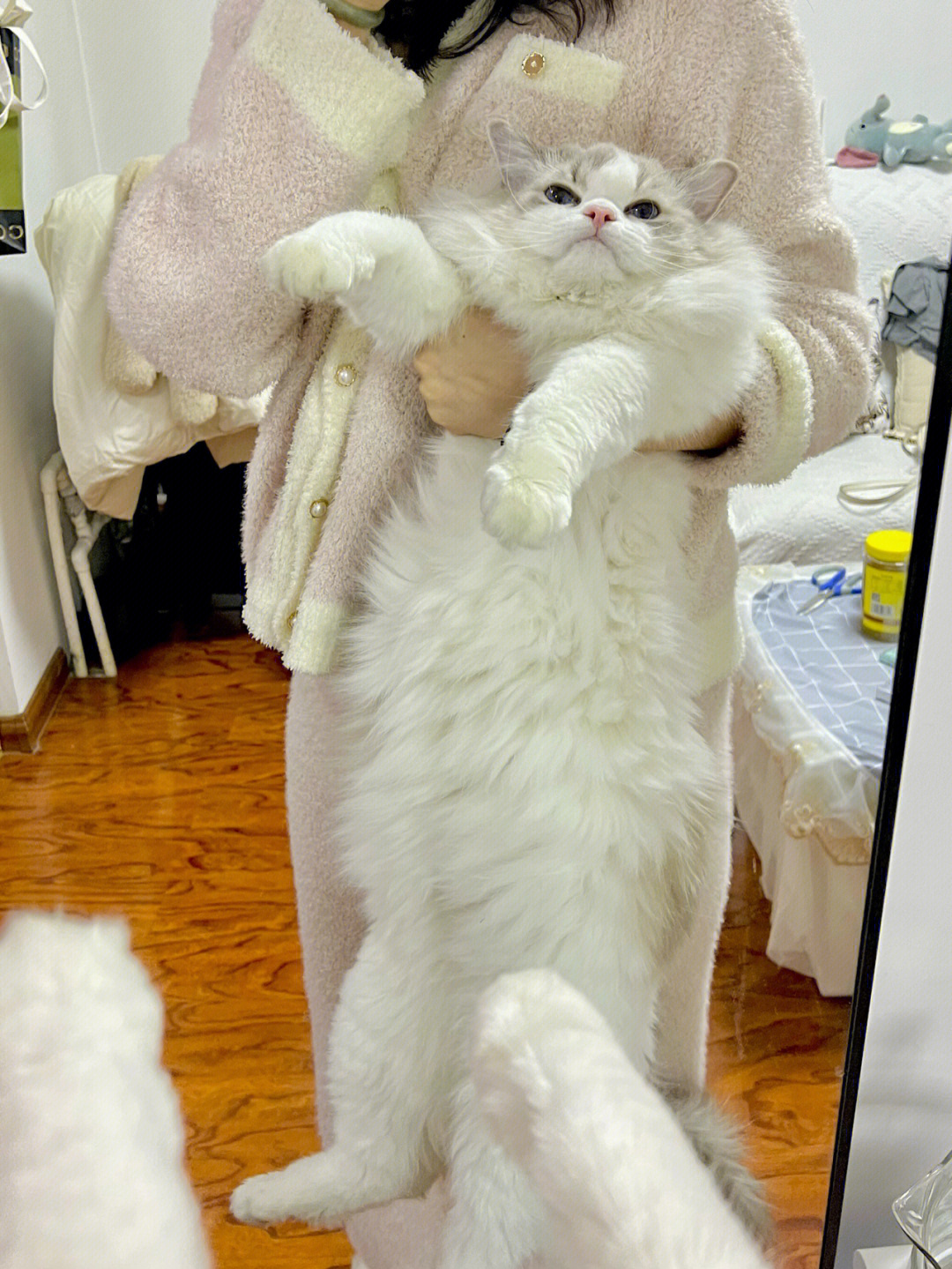 猫咪成人看片app软件下载_看国外成人电视台的app_看福利图片的app软件