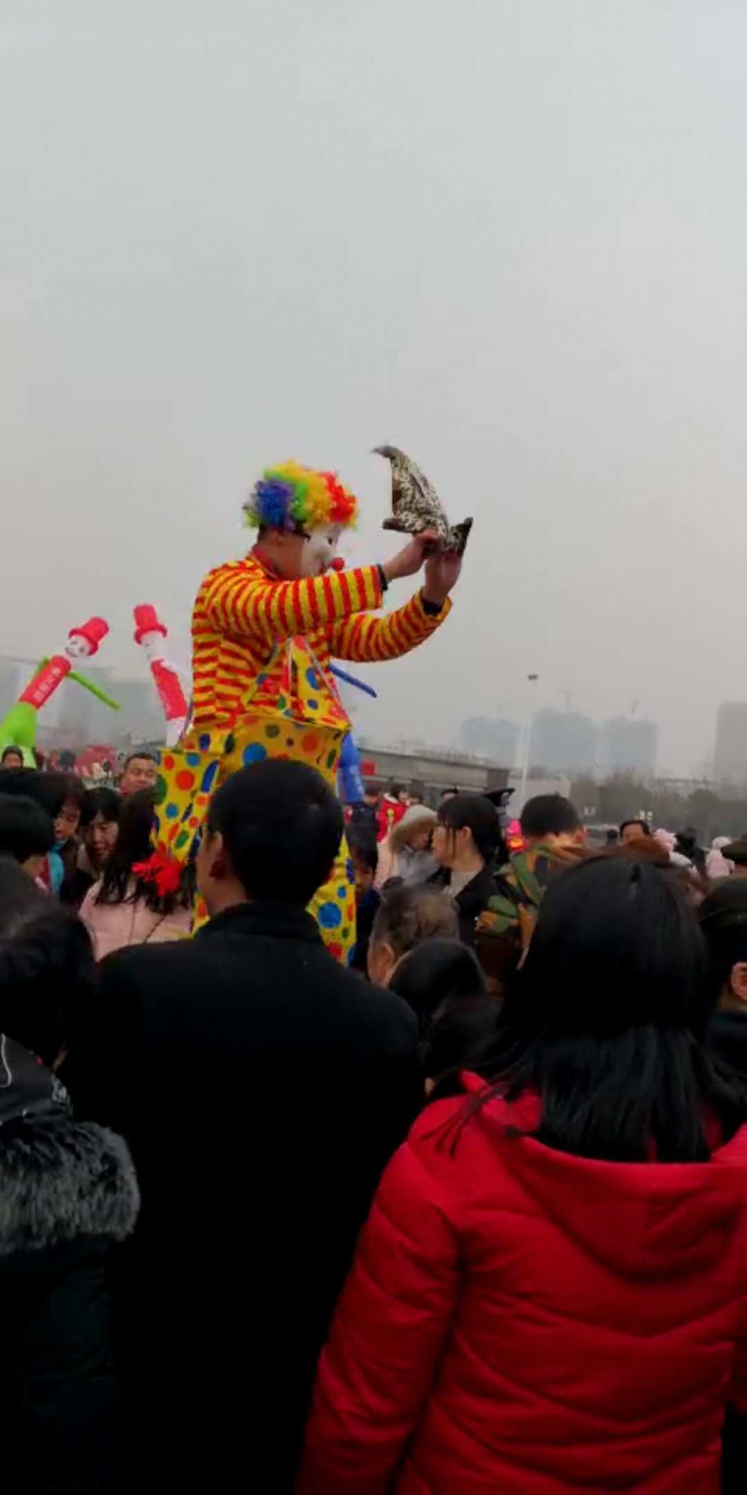 逗奶直播_逗b苍lol直播_逗b苍在哪里直播