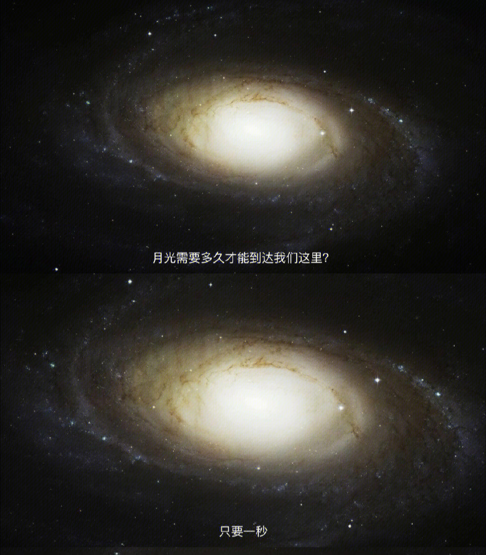 抱歉的出处_生而为人我很抱歉原文出处_很抱歉生而为人什么意思