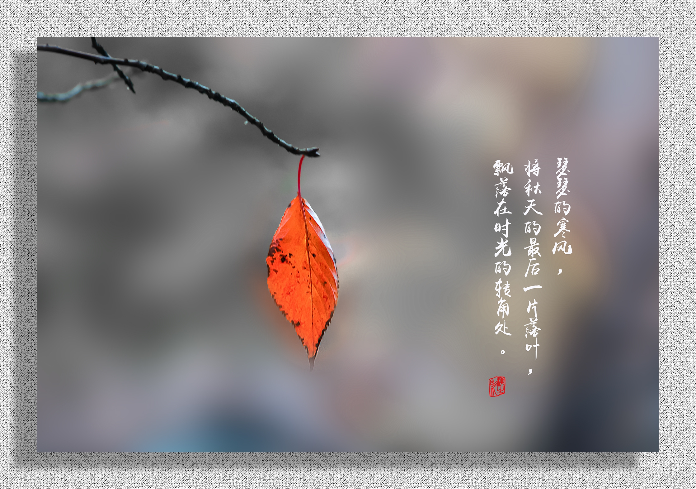 寡妇说的话_寡妇台词视频_寡妇台词