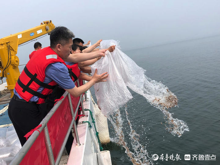 拯救小鱼_小鱼拯救视频游戏_小鱼拯救小美鱼
