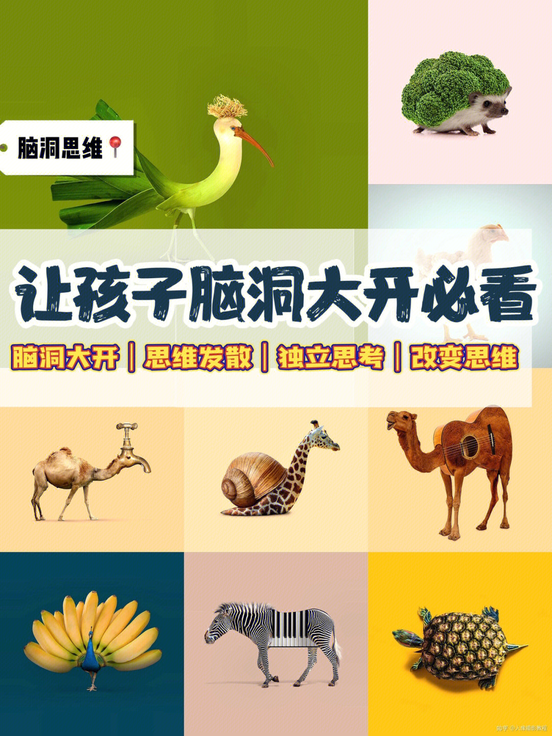 脑洞君_脑洞君王者荣耀视频_脑洞君真人图片
