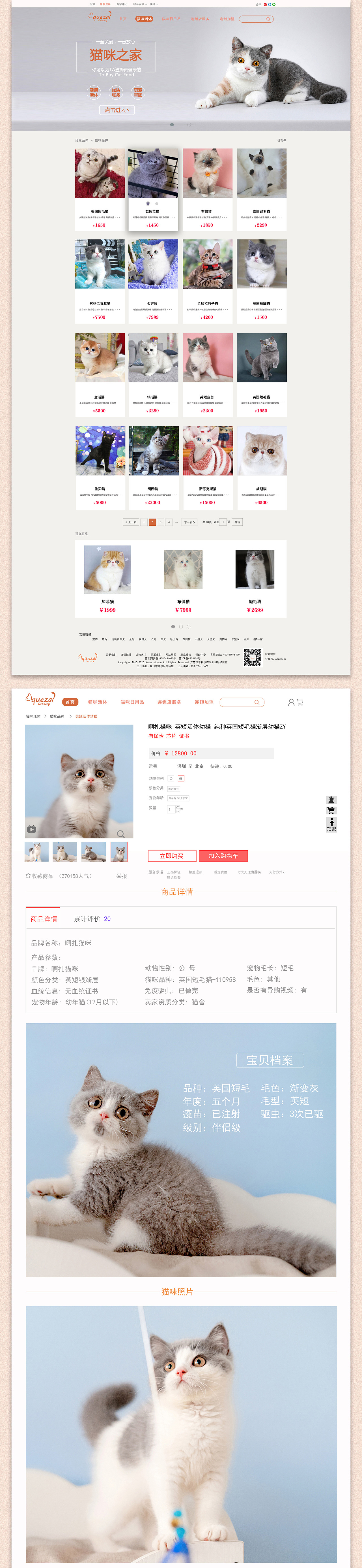 猫咪官方app网页版_猫咪官方app网页版_猫咪官方app网页版