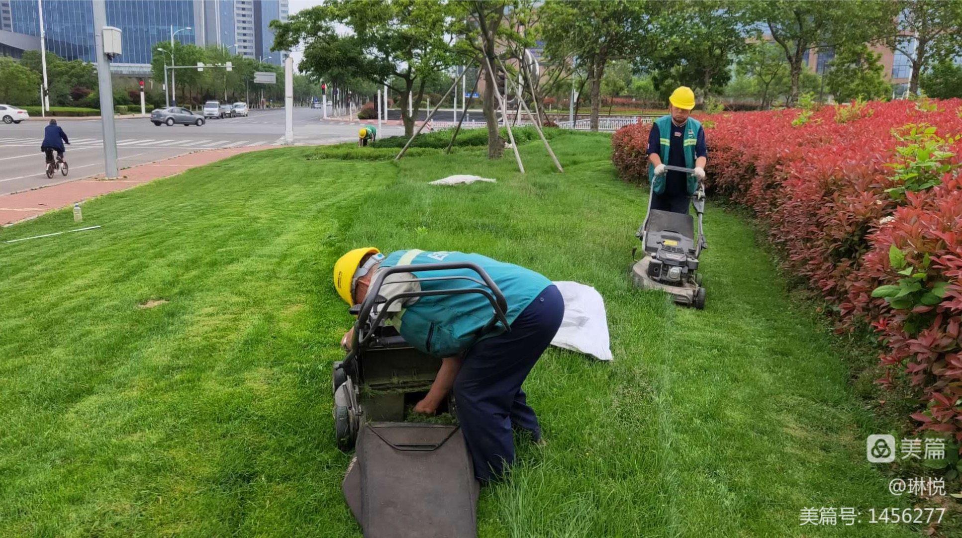 草草草草_草草草草_草草草草