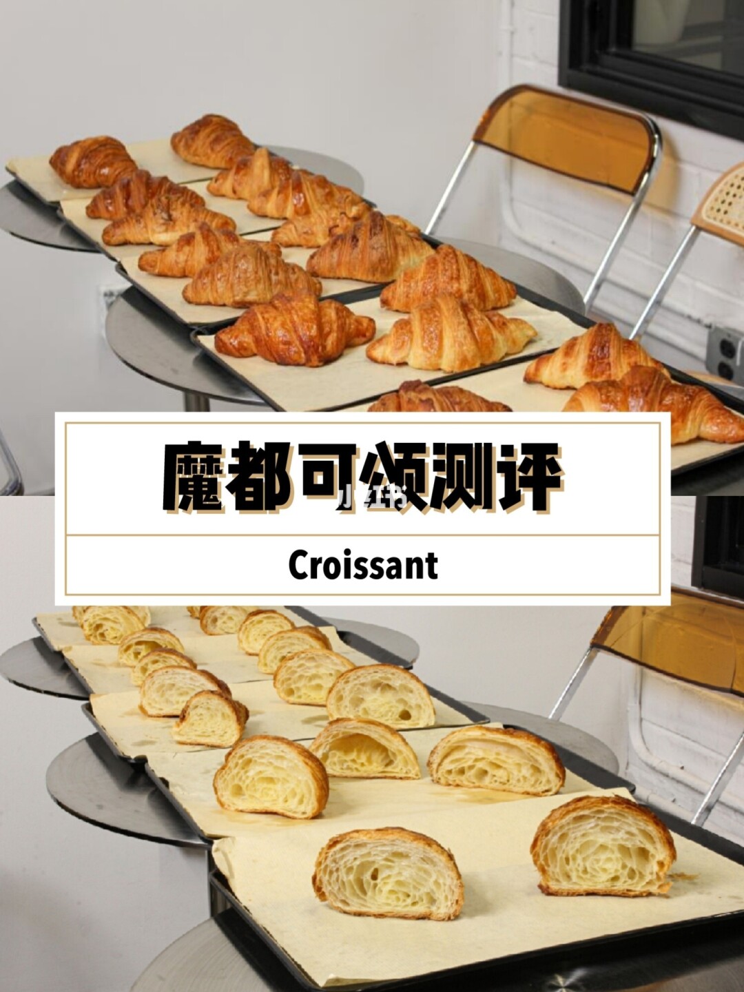 面包网新版下载2.10_2020面包网新_新面包网