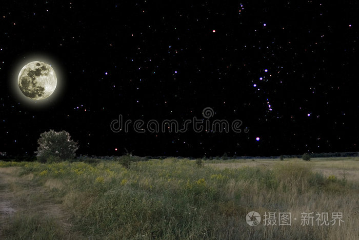 夜妖姬_夜妖姬_夜妖姬