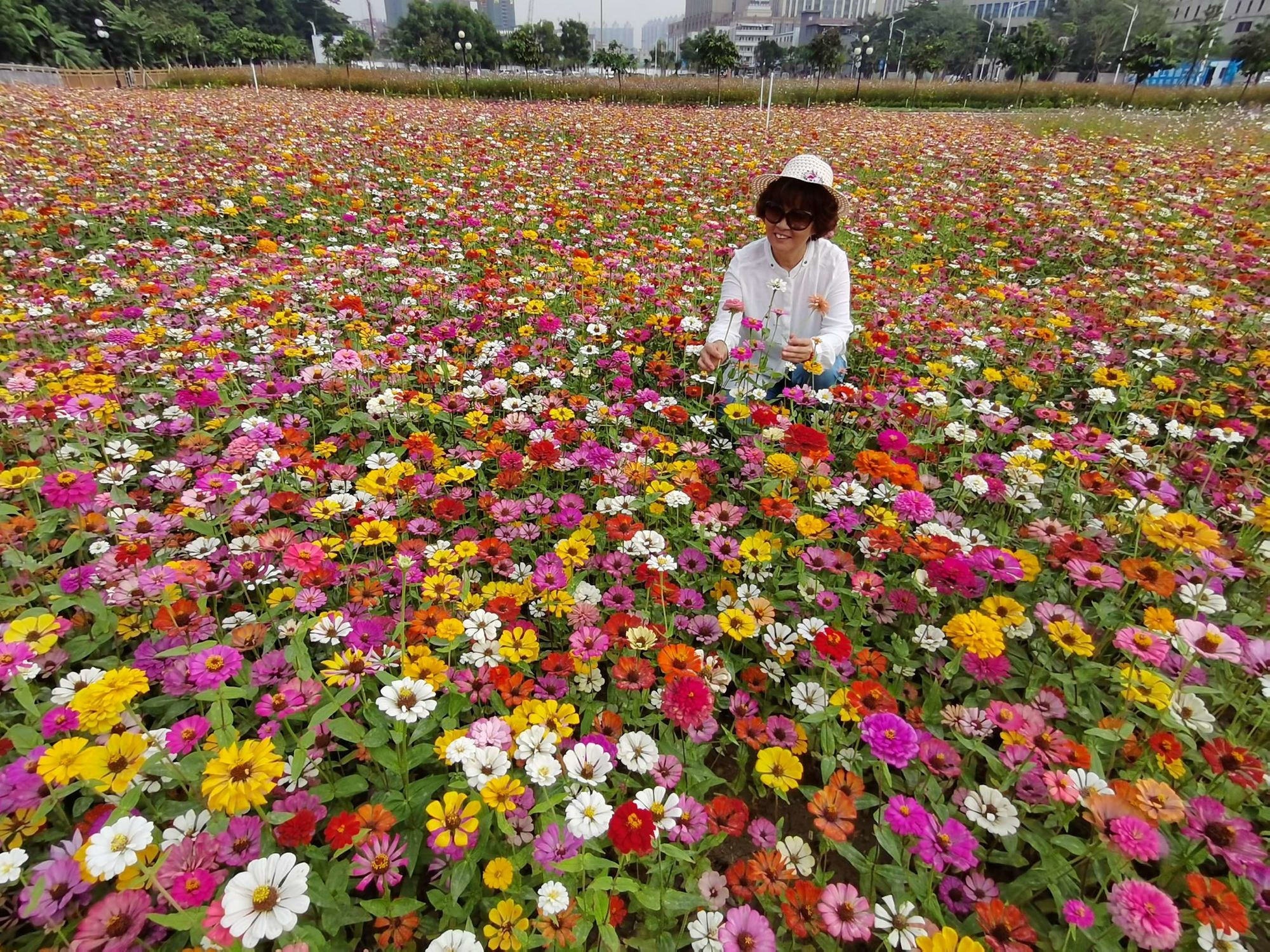 花花填色正版下载_花花填色2_花花填色