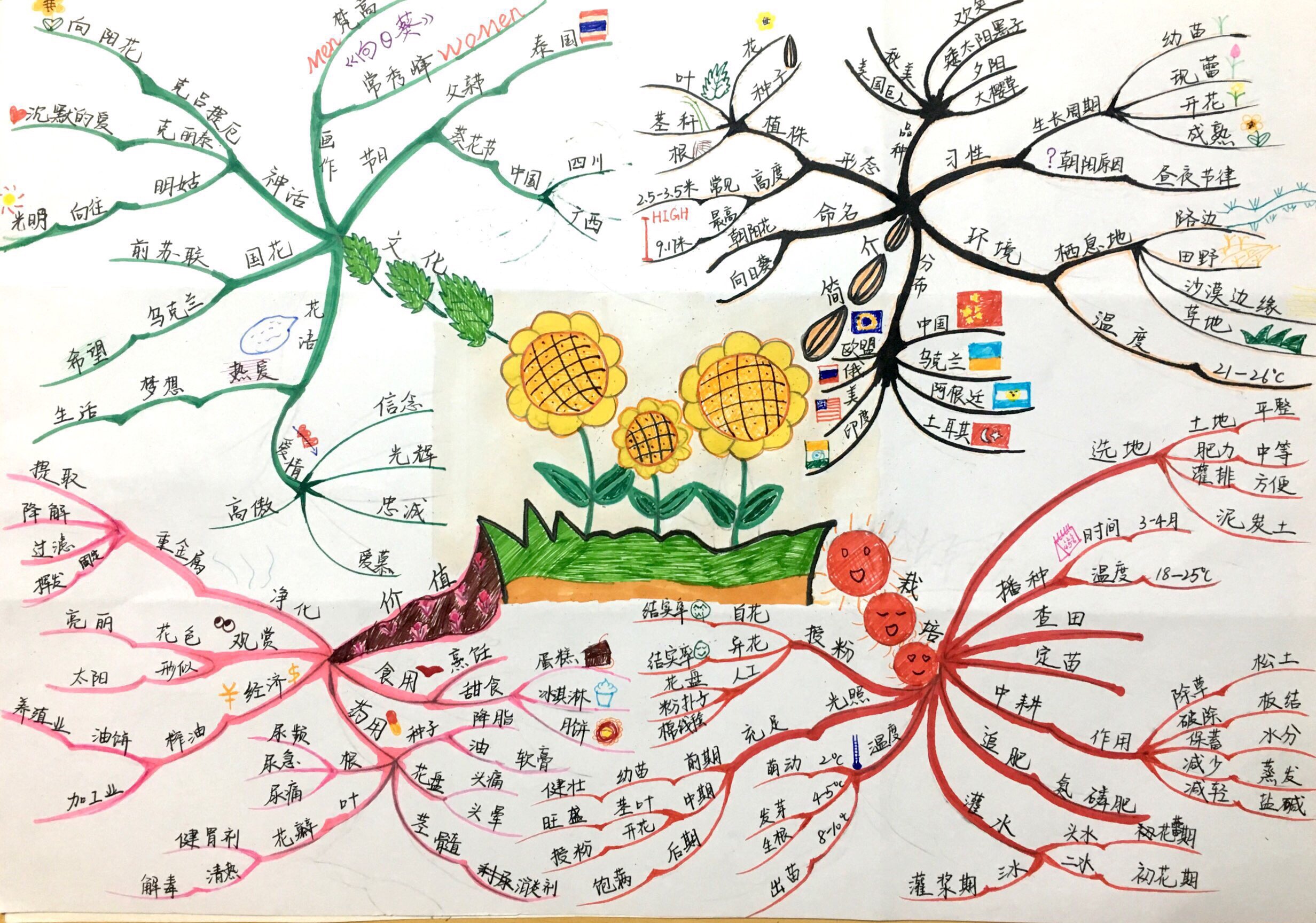比博燃是什么意思_什么叫比博燃_比博燃啥意思