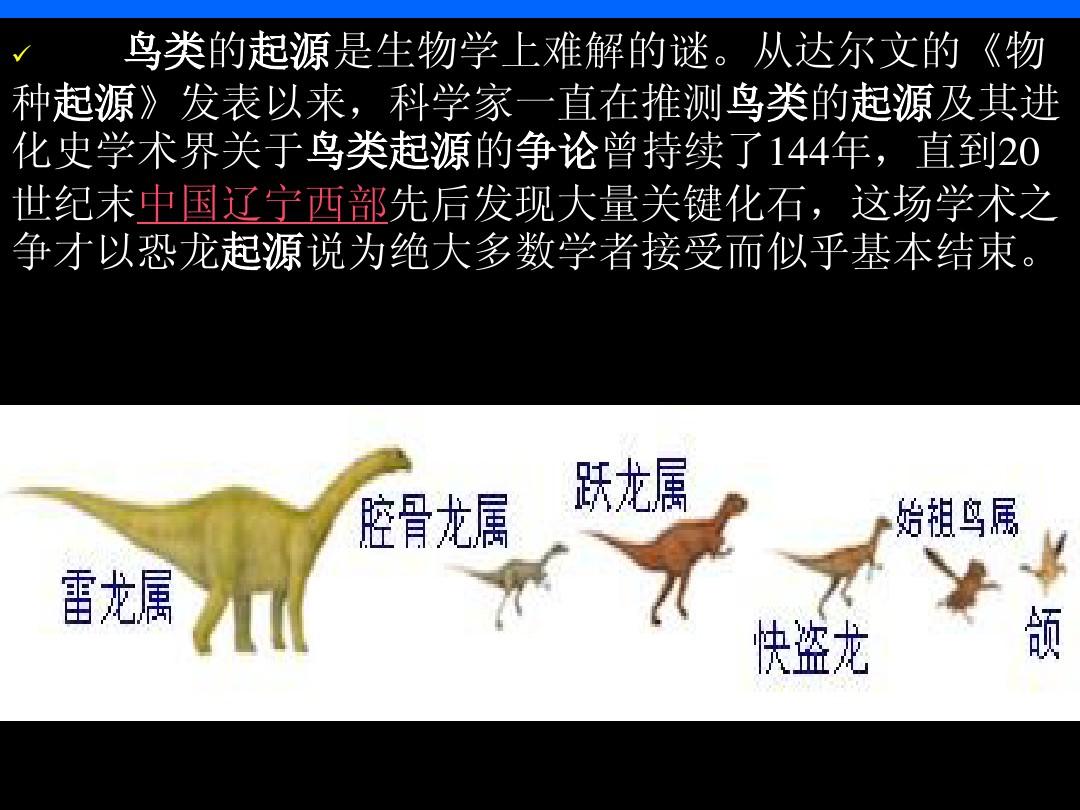 鸭宝宝进化_口袋妖怪鸭宝宝进化_pokemmo鸭宝宝进化