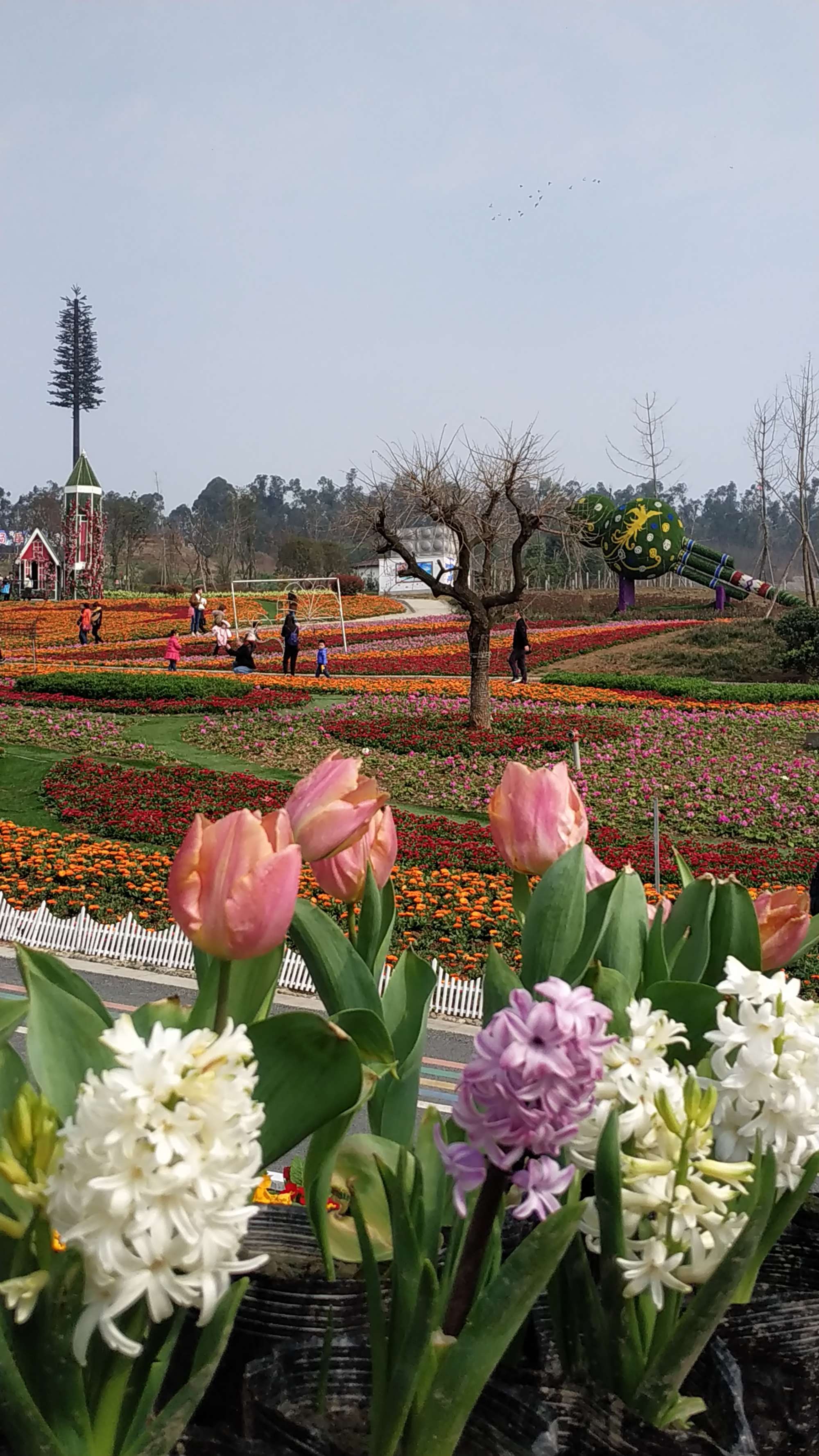 百花谷怎么加点_仙域百花谷加点_百花谷技能