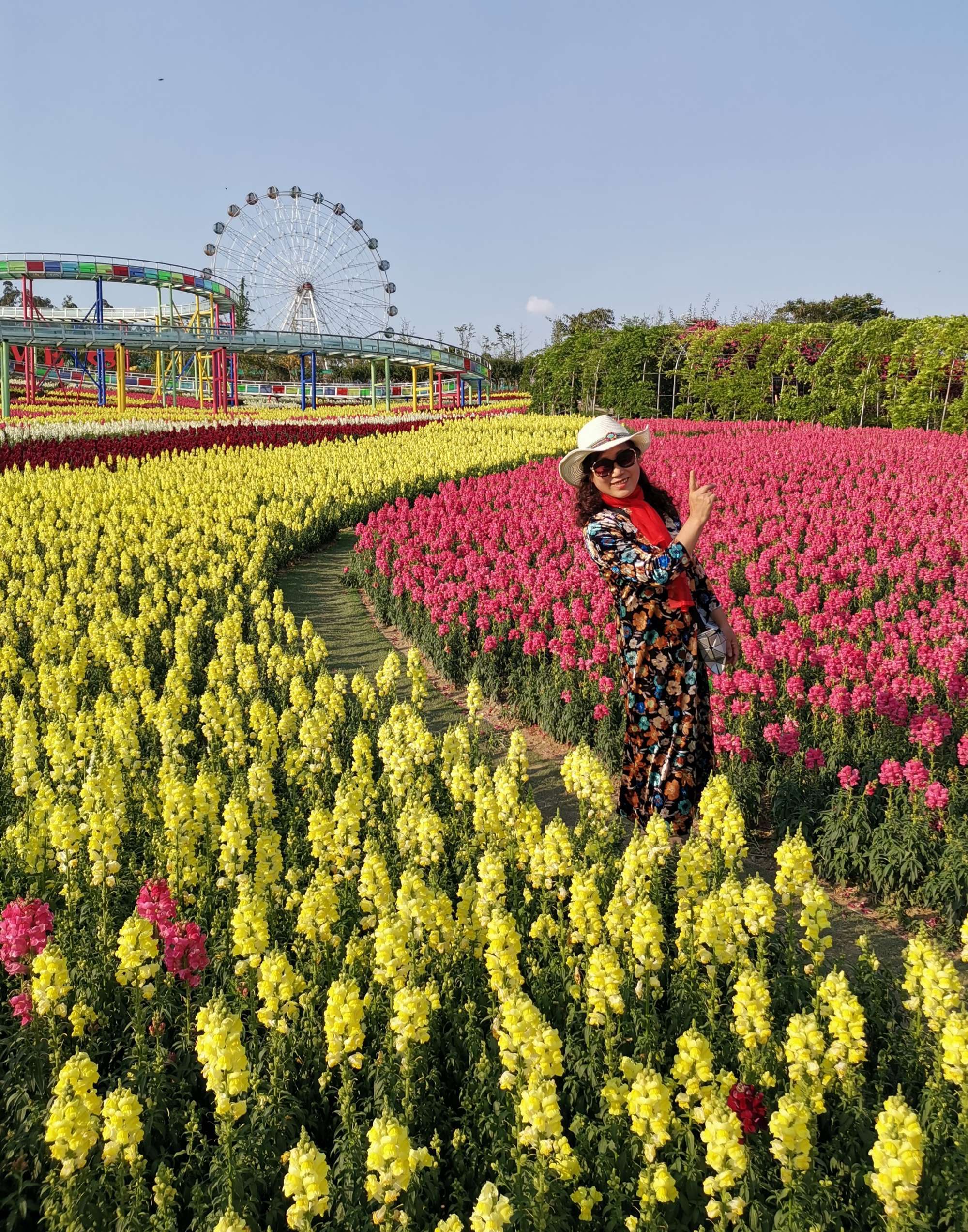 百花谷技能_仙域百花谷加点_百花谷怎么加点