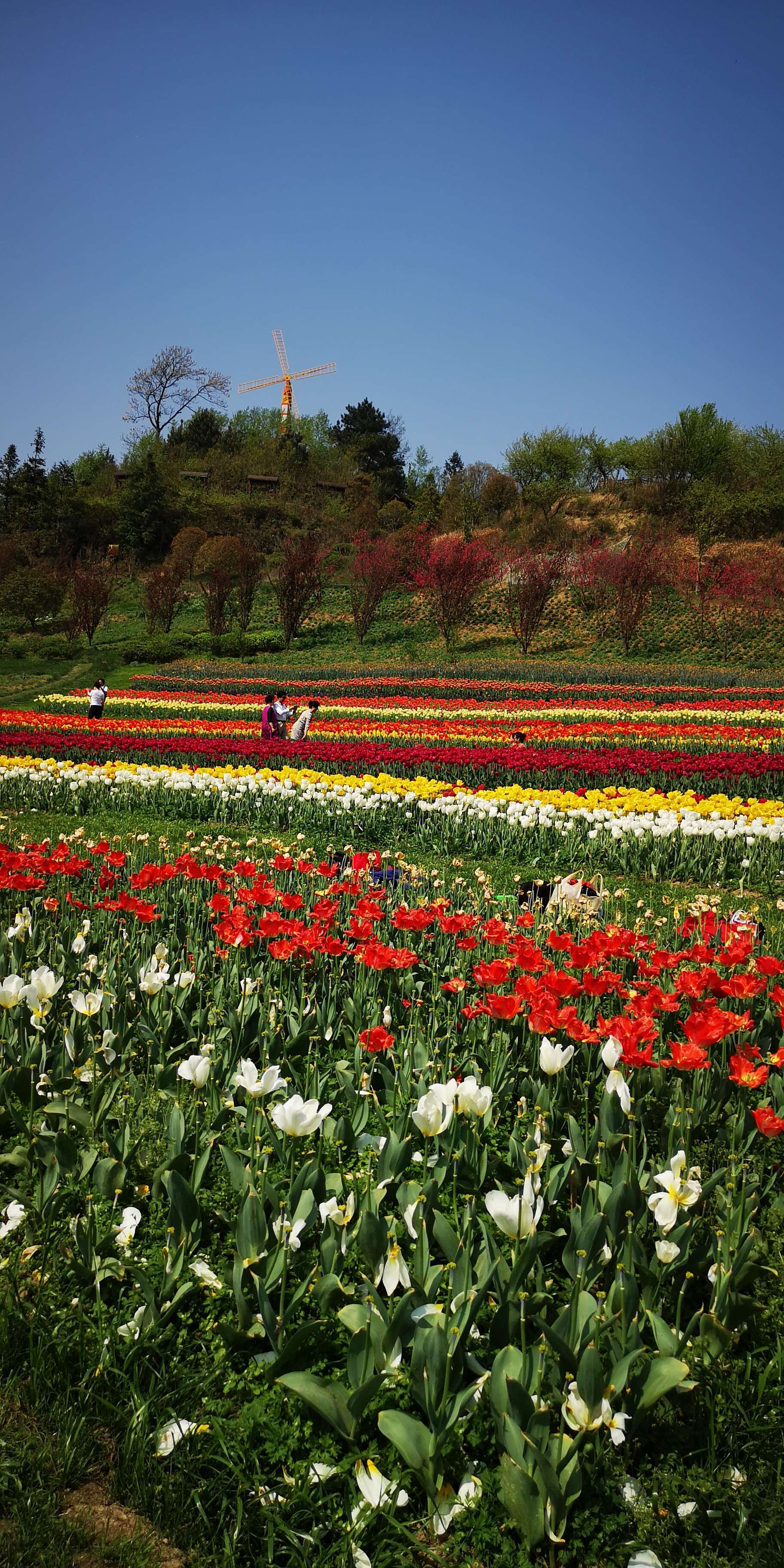 百花谷技能_百花谷怎么加点_仙域百花谷加点