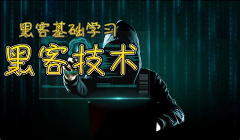黑客菜鸟10套_黑客菜鸟_黑客菜鸟入门教程