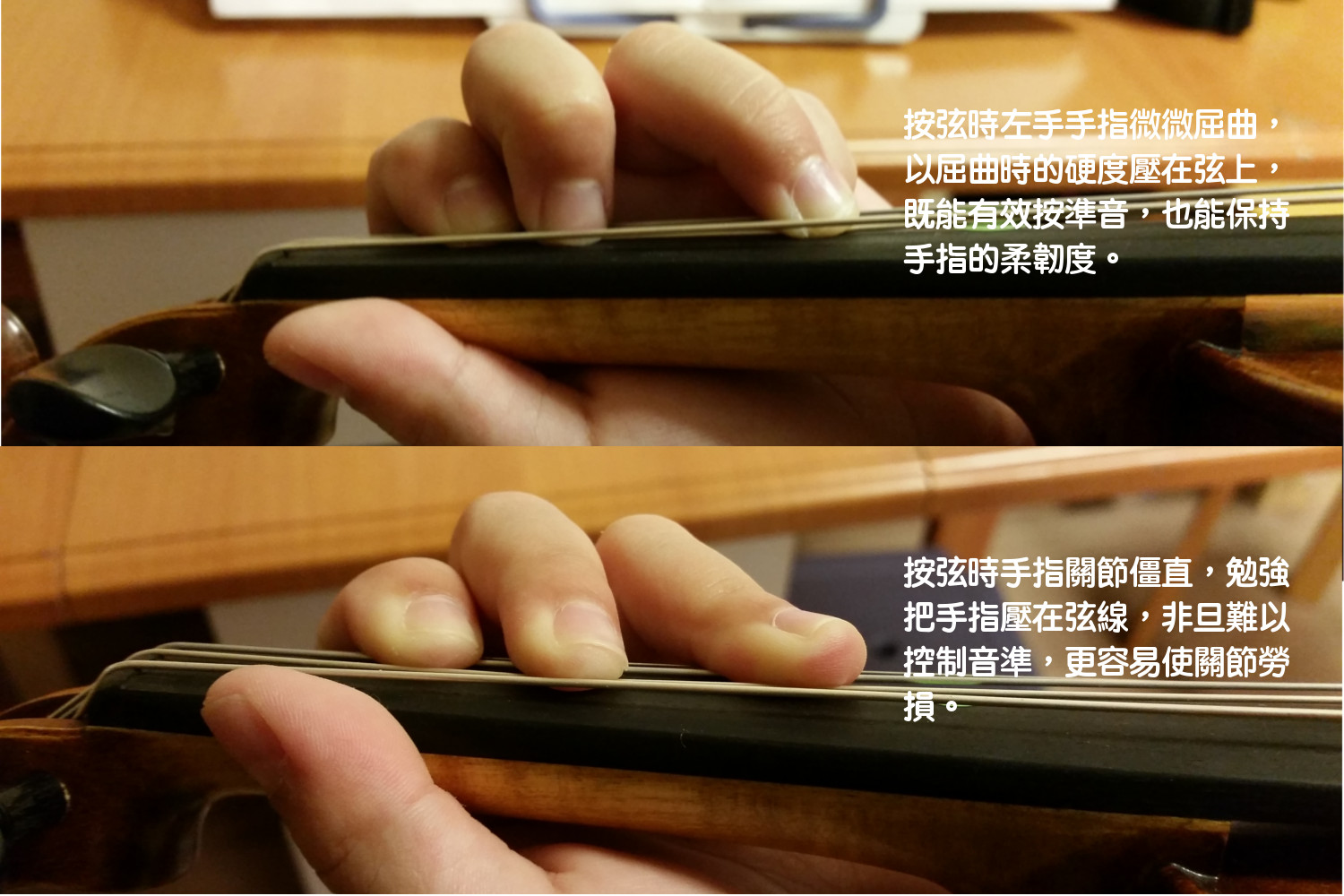 新手竖琴乐谱_初学者竖琴_光遇竖琴入门曲谱