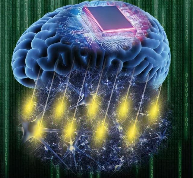 活体脑细胞_活体脑细胞_活体脑细胞