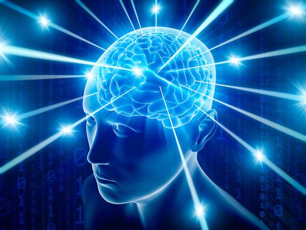 活体脑细胞_活体脑细胞_活体脑细胞