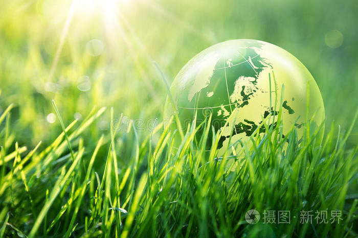 六安一中李原草_原尚草化妆品_原神无相之草