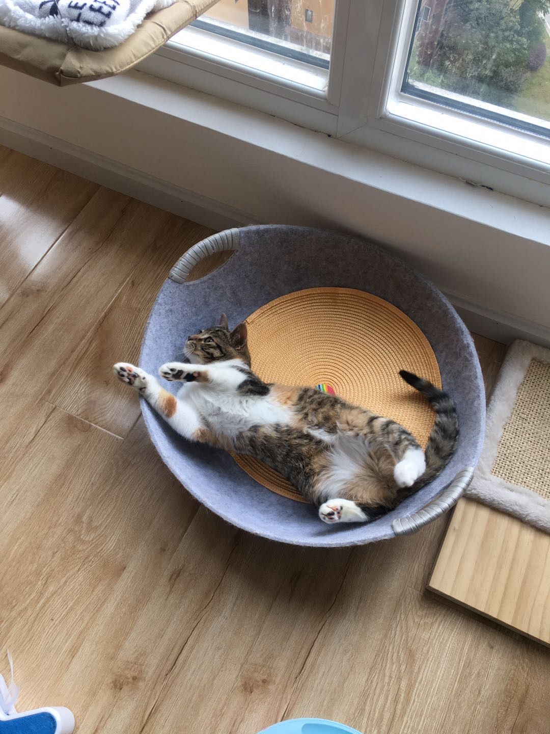 咪免轻量板_咪免视频大全_咪免