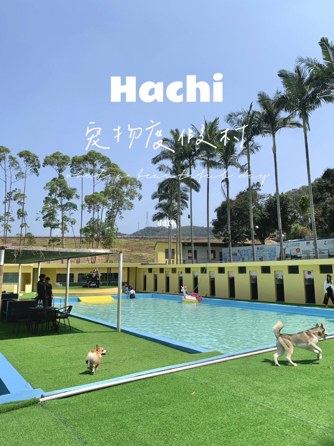 咪免_咪免轻量板_咪免视频大全