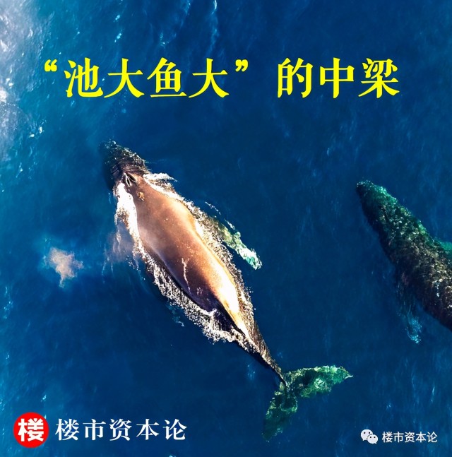 弱肉强食2012