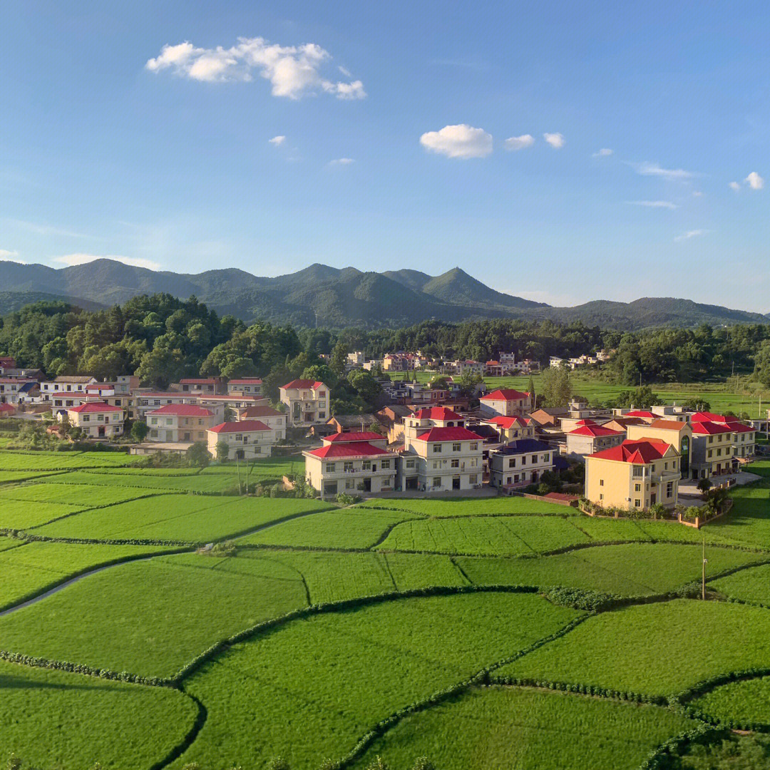 农村生活发朋友圈说说_农村生活的文案_我的农村生活