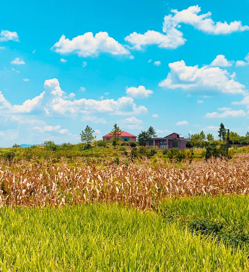农村生活的文案_我的农村生活_农村生活发朋友圈说说