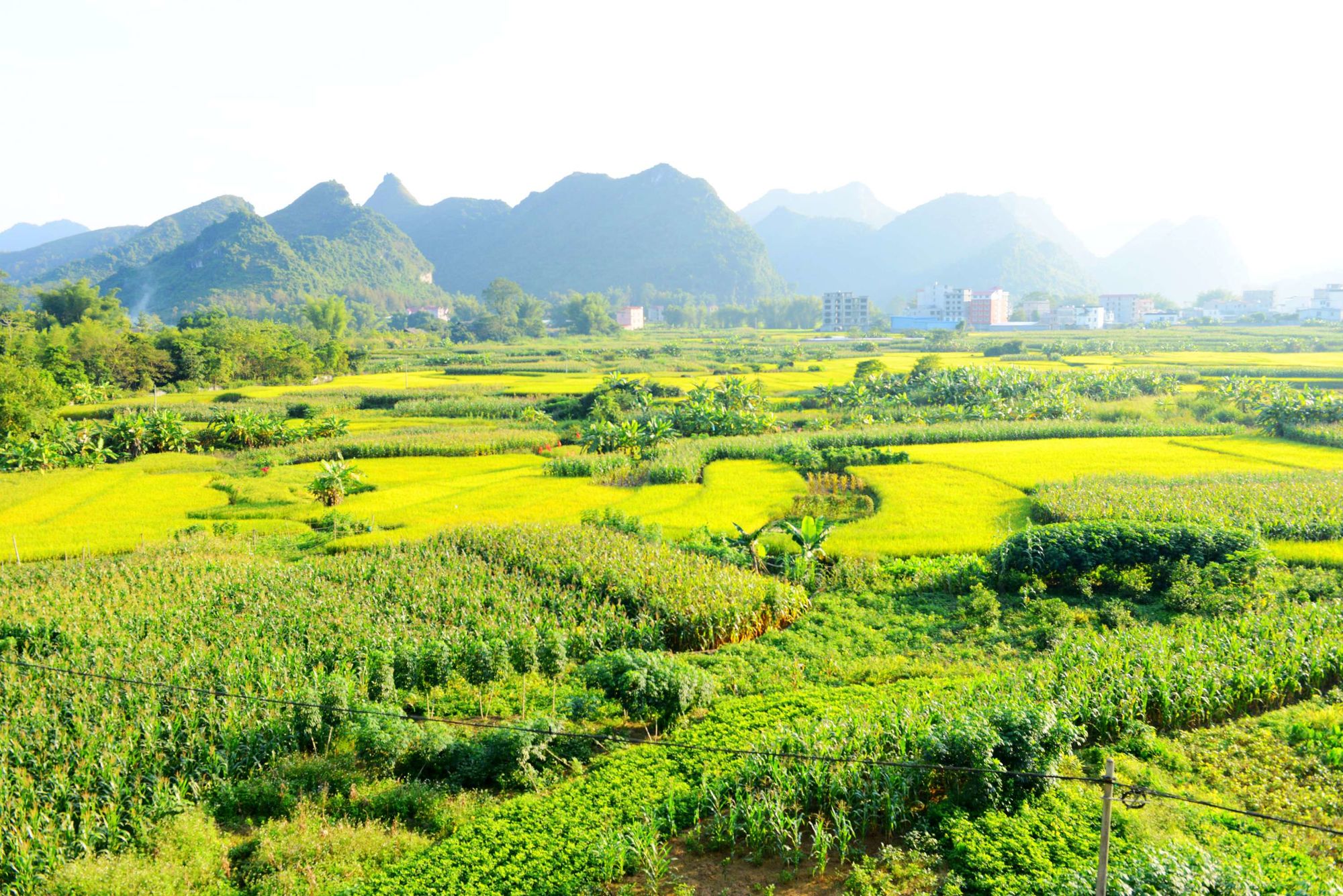 农村生活的文案_我的农村生活_农村生活发朋友圈说说