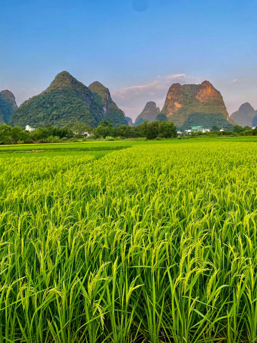 农村生活发朋友圈说说_农村生活的文案_我的农村生活