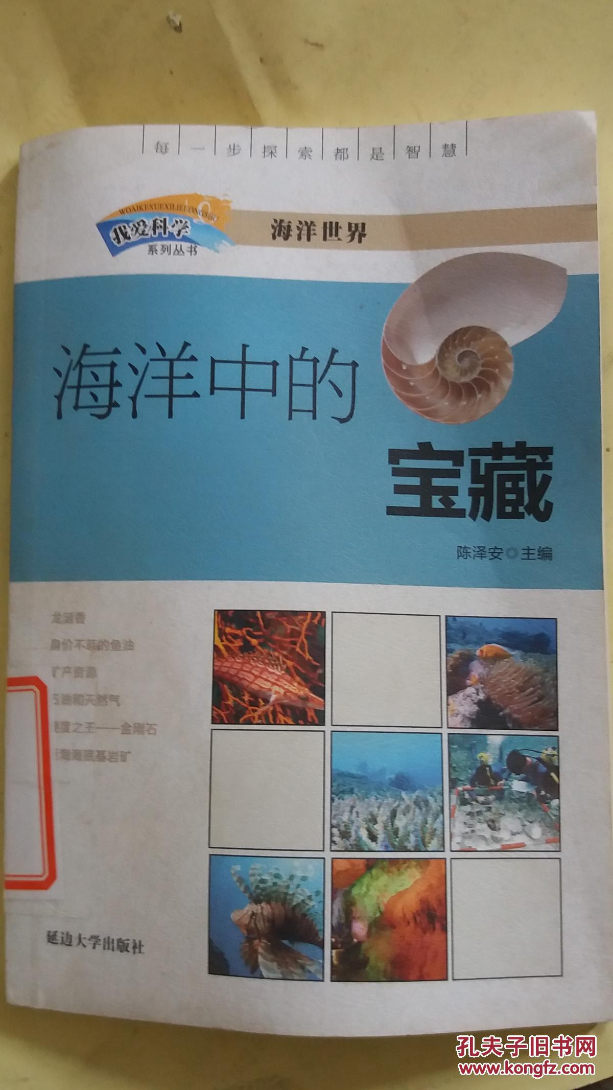 我的世界海洋之心怎么用_海洋世界衣服_海洋世界主题