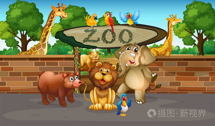 动物园之星手机版下载_动物园下载版手机免费_动物园最新下载