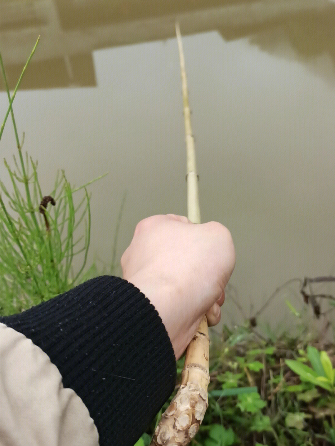 钓水球游戏怎么玩_巧虎小猫钓鱼_巧虎钓水球