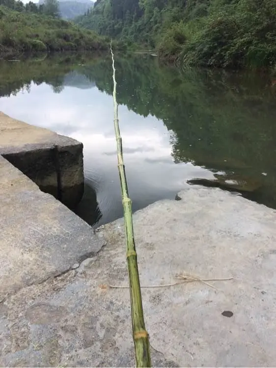 巧虎小猫钓鱼_巧虎钓水球_钓水球游戏怎么玩